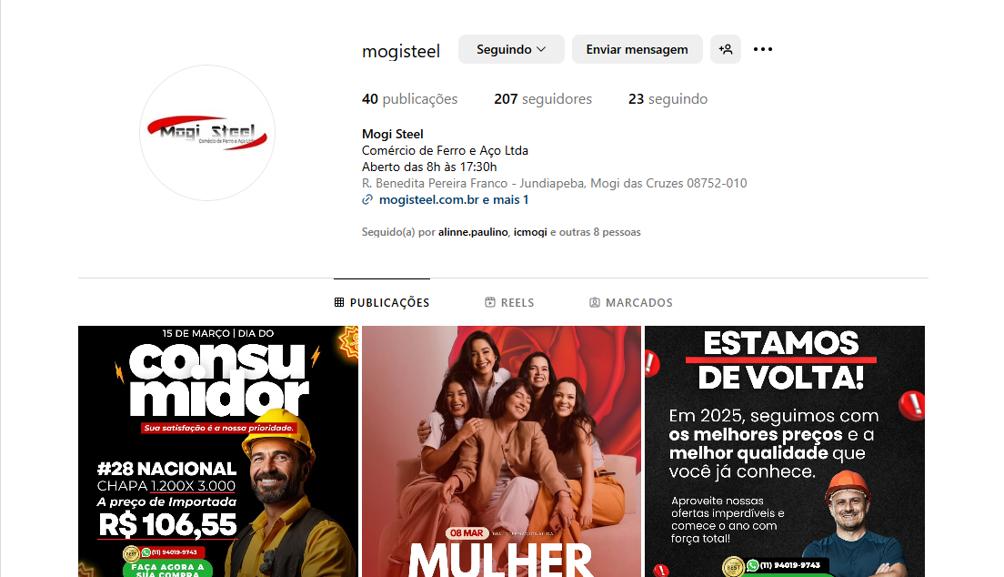 Instagram Mogi Steel.png